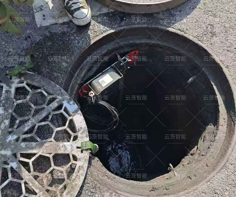 数据模型服务项目